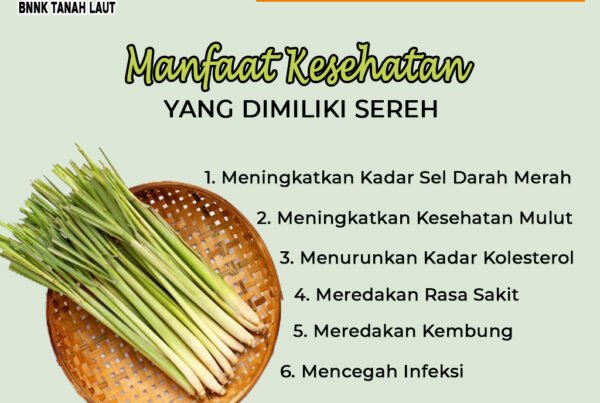 Manfaat Kesehatan yang Dimiliki Sereh Manfaat Kesehatan yang Dimiliki Sereh