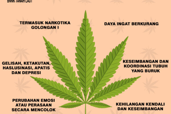 Kenali Dampak Negatif Ganja pada Tubuh Kenali Dampak Negatif Ganja pada Tubuh