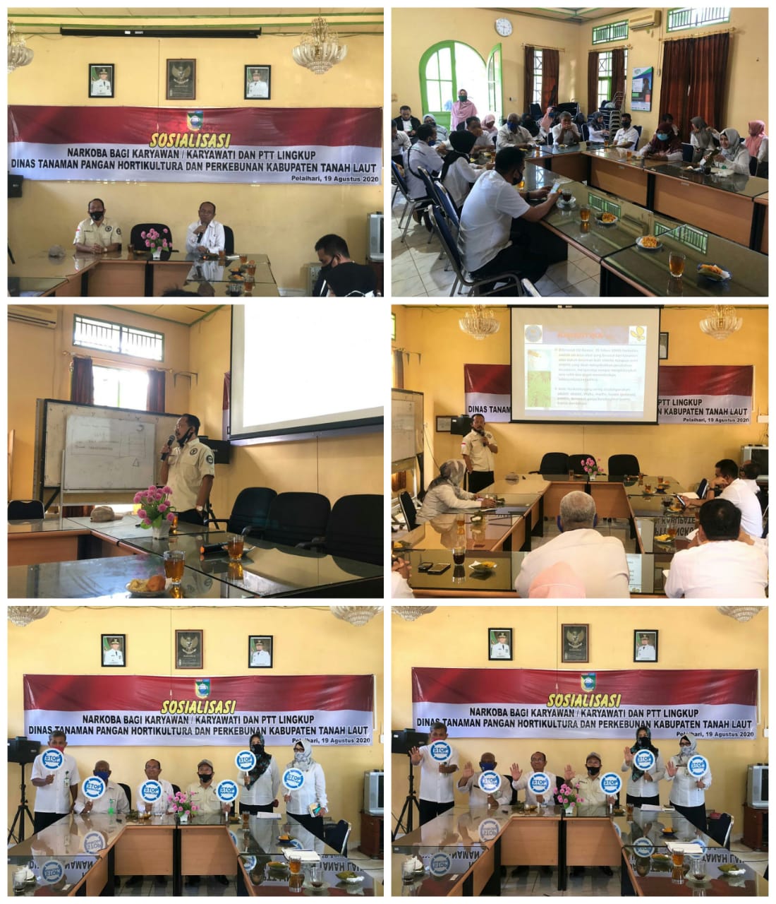 Sosialisasi P4GN kepada Pegawai Dinas Tanaman Pangan, Holtikultura dan Perkebunan Kabupaten Tanah Laut Sosialisasi P4GN kepada Pegawai Dinas Tanaman Pangan, Holtikultura dan Perkebunan Kabupaten Tanah Laut