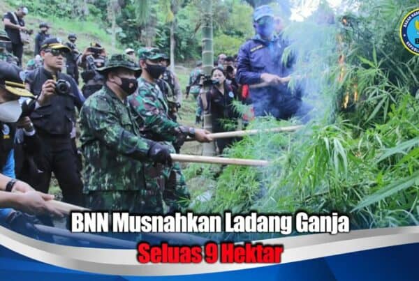 Kepala BNN RI Pimpin Pemusnahan 9 Hektar Ladang Ganja di Aceh Utara